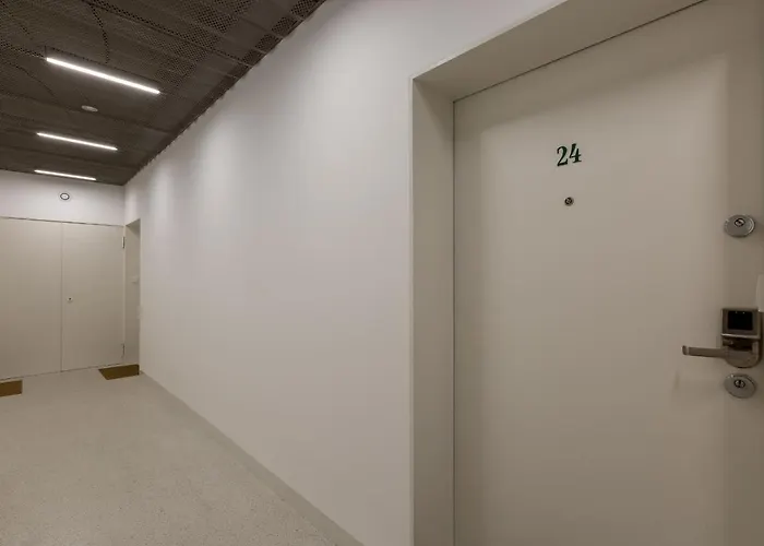 Sloneczny - Mlyn Maria - Art * Wrocław