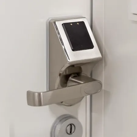 Sloneczny - Mlyn Maria - Art